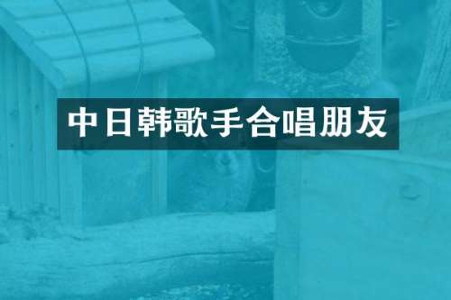 中日韩歌手合唱朋友