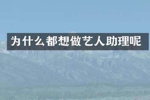 为什么都想做艺人助理呢