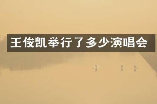王俊凯举行了多少演唱会