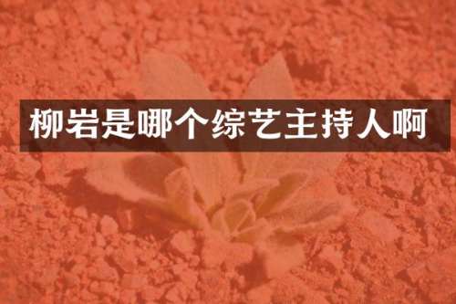 柳岩是哪个综艺主持人啊