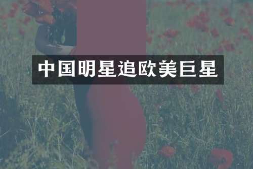 中国明星追欧美巨星