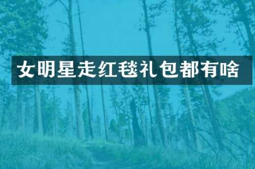 女明星走红毯礼包都有啥