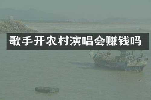歌手开农村演唱会赚钱吗