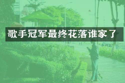歌手冠军最终花落谁家了