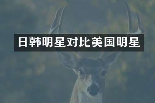 日韩明星对比美国明星