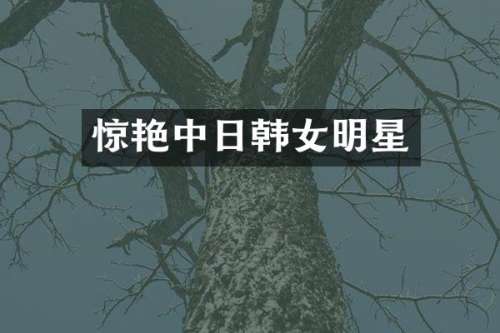惊艳中日韩女明星