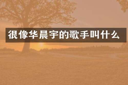 很像华晨宇的歌手叫什么