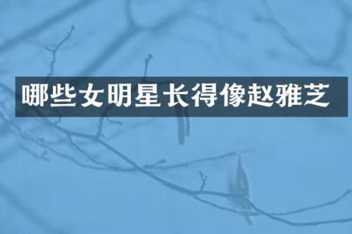 哪些女明星长得像赵雅芝