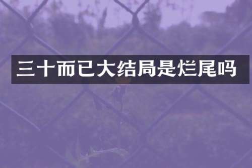 三十而已大结局是烂尾吗