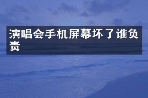 演唱会手机屏幕坏了谁负责
