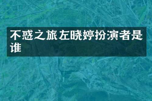 不惑之旅左晓婷扮演者是谁