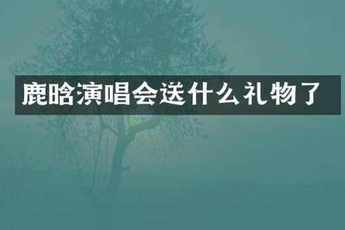 鹿晗演唱会送什么礼物了