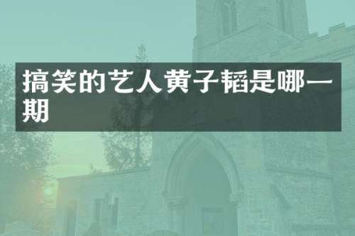 搞笑的艺人黄子韬是哪一期