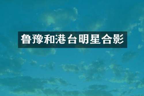 鲁豫和港台明星合影