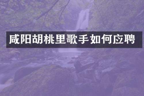 咸阳胡桃里歌手如何应聘