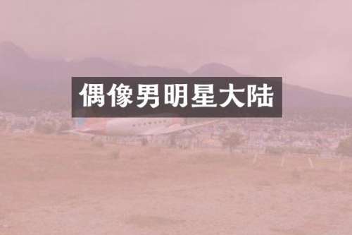 偶像男明星大陆