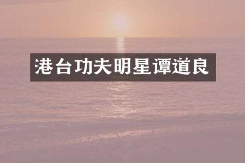 港台功夫明星谭道良