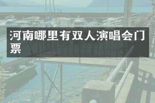 河南哪里有双人演唱会门票