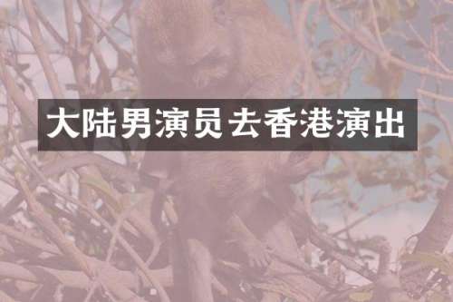 大陆男演员去香港演出