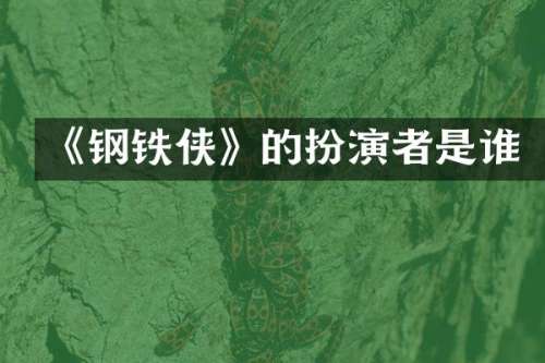 《钢铁侠》的扮演者是谁