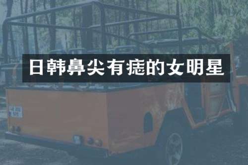 日韩鼻尖有痣的女明星