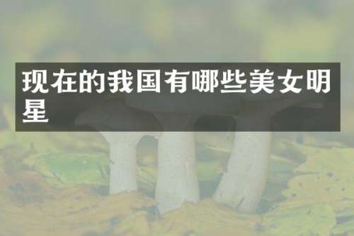 现在的我国有哪些明星