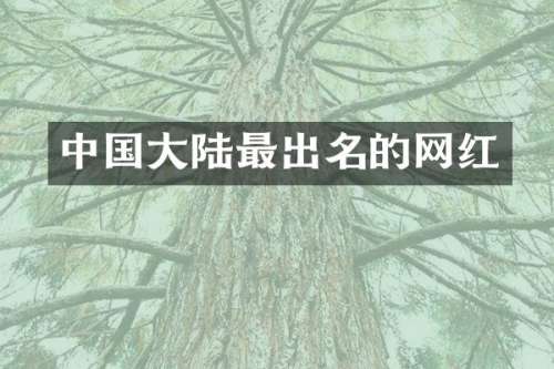 中国大陆最出名的网红