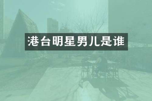 港台明星男儿是谁