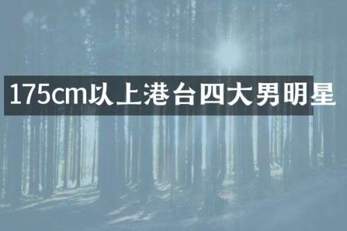 175cm以上港台四大男明星