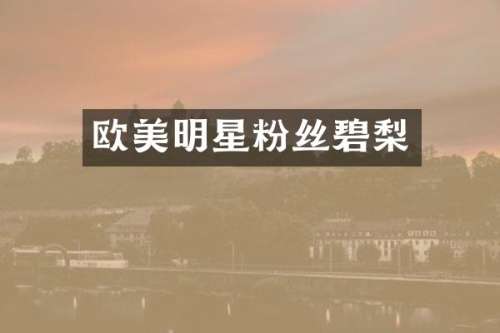 欧美明星粉丝碧梨