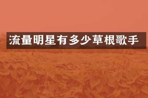 流量明星有多少草根歌手