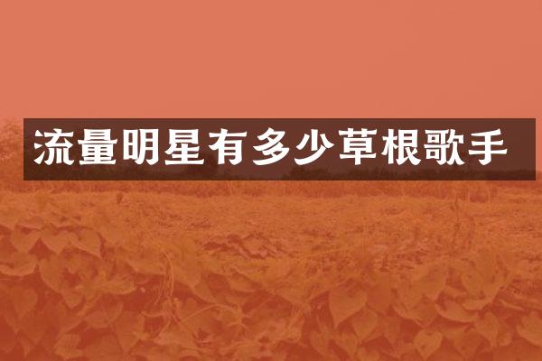 流量明星有多少草根歌手