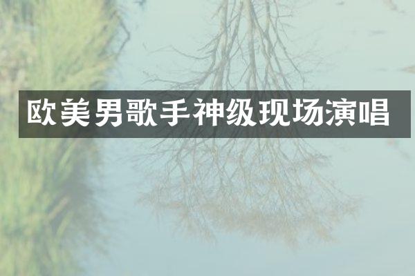 欧美男歌手神级现场演唱