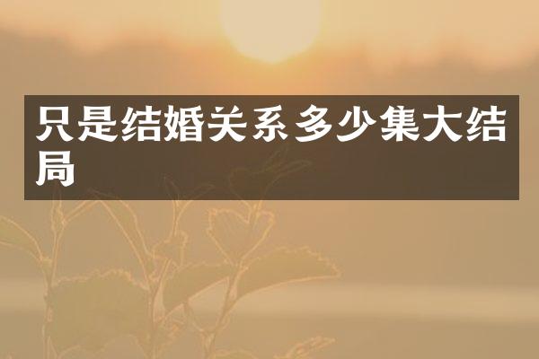只是结婚关系多少集大结局