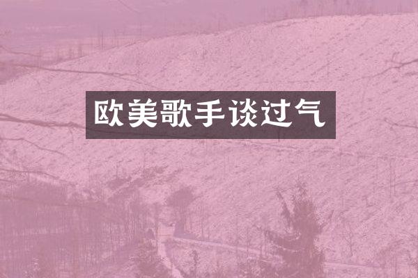 欧美歌手谈过气