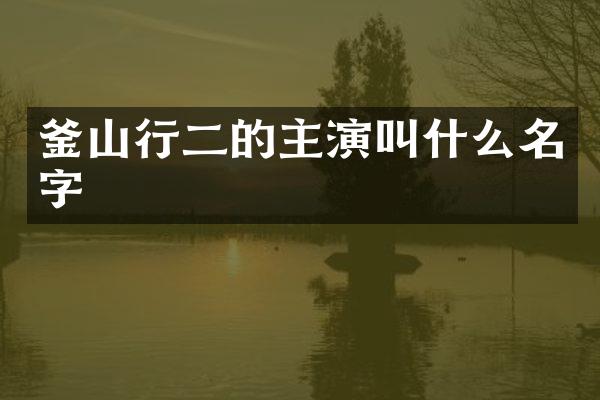 釜山行二的主演叫什么名字