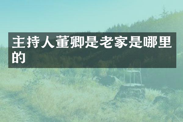 主持人董卿是老家是哪里的