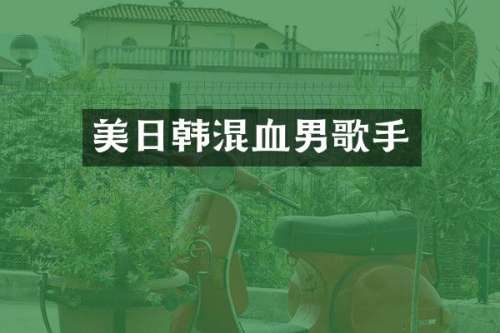 美日韩混血男歌手