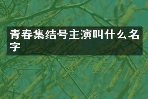 青春集结号主演叫什么名字