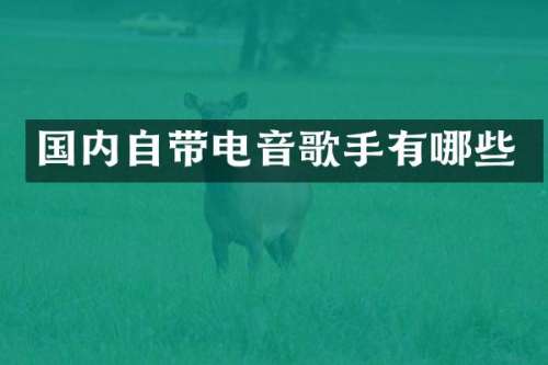 国内自带电音歌手有哪些
