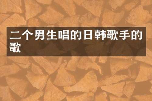 二个男生唱的日韩歌手的歌