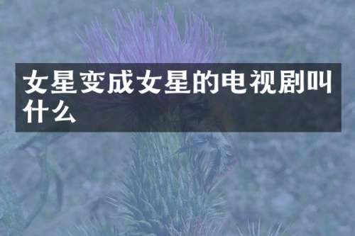 女星变成女星的电视剧叫什么