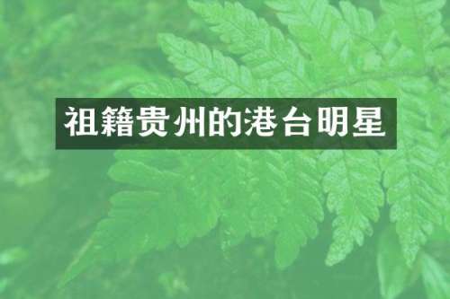 祖籍贵州的港台明星