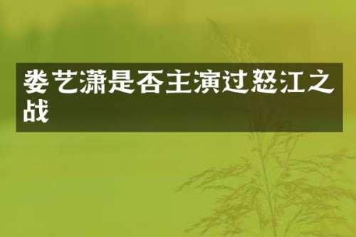 娄艺潇是否主演过怒江之战