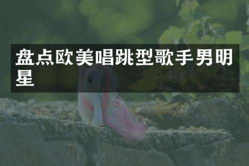 盘点欧美唱跳型歌手男明星
