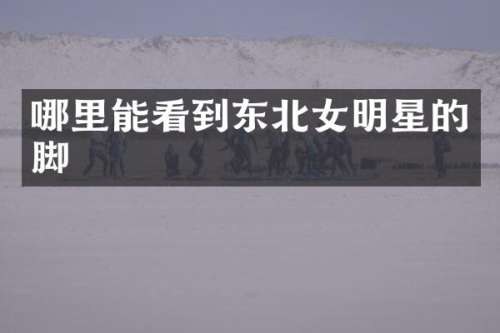 哪里能看到东北女明星的脚