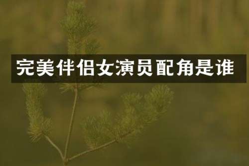 完美伴侣女演员配角是谁