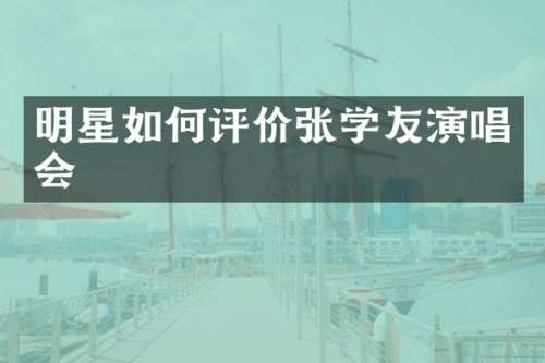 明星如何评价张学友演唱会