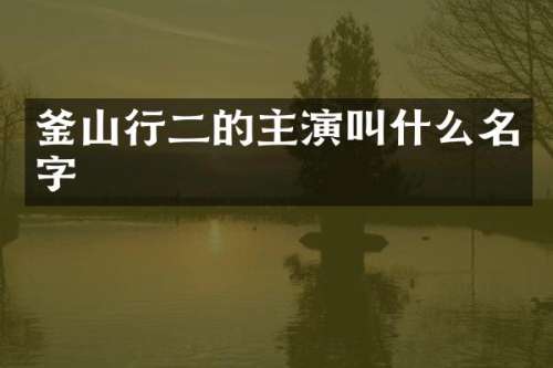 釜山行二的主演叫什么名字