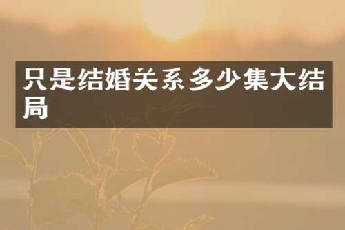 只是结婚关系多少集大结局